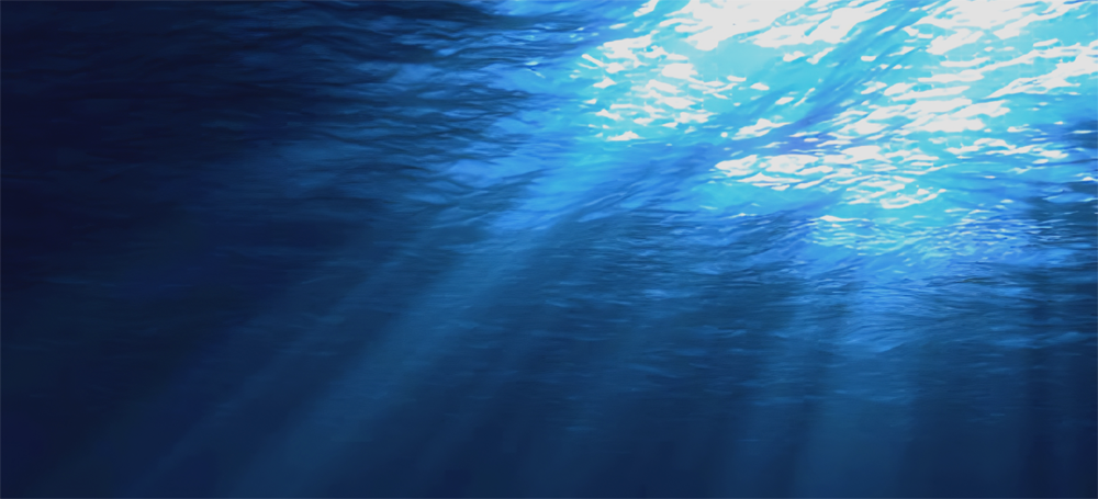 WK AUDIO high-end cables, TheRay, Furutech WK AUDIO high-end cables, TheRay, Furutech