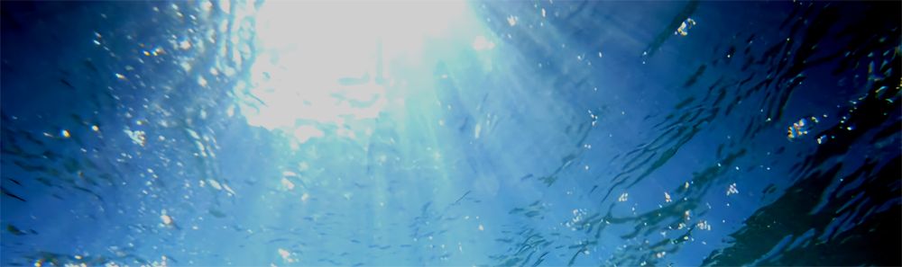 WK AUDIO high-end cables, TheRay, Furutech